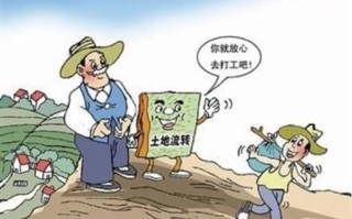 我是农村人有什么致富路吗v,致富路在哪里