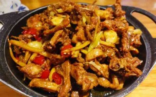 高峰柠檬鸭哪家才是正宗的,柠檬鸭是哪里的特产