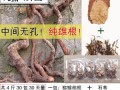 野生猕猴桃根的用处,野生猕猴桃根哪里有卖