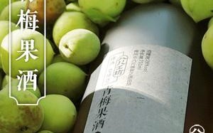 酸梅酒是哪里（酸梅酒是哪里的特产）