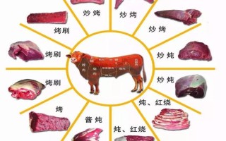 牛肉粒是牛的哪个部位,哪里的牛肉粒最好吃