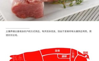 里脊是哪里的肉（里脊是哪里的肉猪哪里的肉）