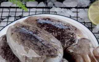 墨鱼什么地方产的好,墨鱼哪里的好吃