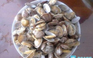 嘎拉吃哪里（嘎啦哪里能吃）