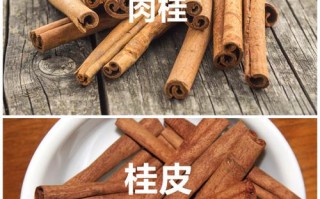 桂皮哪里的最好（桂皮哪里的最好最正宗）