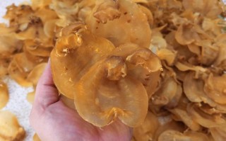 哪里能买到真正的鱼胶啊,哪里能买到真鱼胶呢