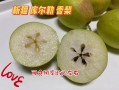 香梨哪里的好吃（库尔勒香梨和山西香梨哪个好吃）