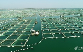 海参在哪里养殖（世界三大海参基地）