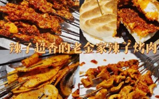 兰州辣子烤肉哪家好吃,兰州哪里烤肉好吃又便宜