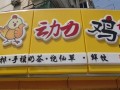 加盟动力鸡排怎么样（动力鸡车怎么样）