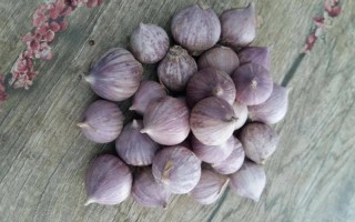 独头蒜哪里的好（独头蒜哪里的好吃）