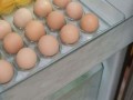 鸡蛋放哪里保存（鸡蛋放哪里保存好）