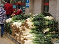 天津哪里卖冬菜（天津哪里卖冬菜的?）