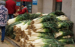 天津哪里卖冬菜（天津哪里卖冬菜的?）
