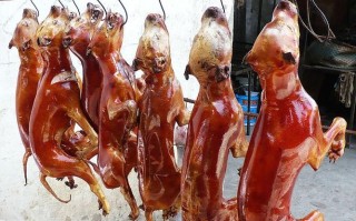 南宁有狗肉吃吗,南宁哪里有狗肉吃的