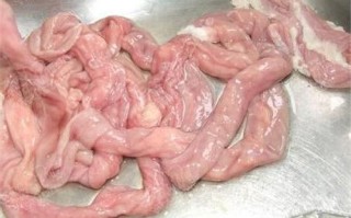 猪的小肠是哪里（猪的小肠是哪里的肉）
