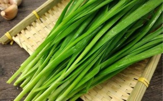 韭菜吃哪里（韭菜吃哪里最好）