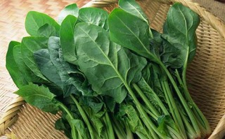 菠菜哪里的好（菠菜哪里的好吃又营养）