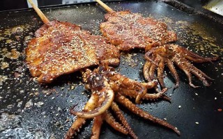 街边的烤鱿鱼是哪里的（街边的烤鱿鱼是哪里的特产）
