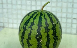 西瓜瘦哪里（苹果12元，西瓜10元，西瓜比苹果便宜百分之几）