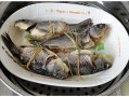 糯米鱼的做法，糯米鱼怎么做好吃，糯米鱼的家常,糯米鱼哪里买便宜