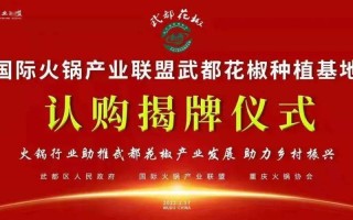 国际火锅产业联盟怎么样（国际火锅产业联盟怎么样啊）