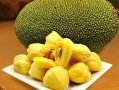 菠萝蜜哪里最好吃（菠萝蜜哪里最好吃最正宗）