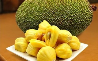 菠萝蜜哪里最好吃（菠萝蜜哪里最好吃最正宗）