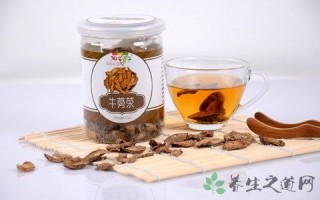 牛蒡茶哪里好（牛蒡茶哪里好喝）