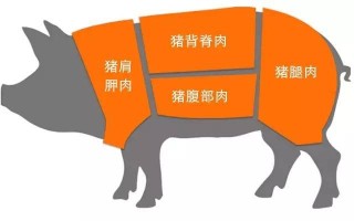 膀肉是哪里的肉（膀肉是哪个部位）