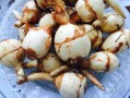 芡菇产于哪里（茨菇哪里产的）