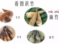竹笋哪里可以吃哪里不能吃,竹笋哪里能吃哪里不能吃