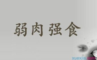 哪里瘦肉好吃（形容猪肉的词语有哪些）
