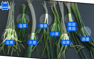冬天的蒜苗香还是夏天的,青蒜哪里能吃啊