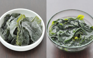 昆布在哪里（寺庙能吃紫菜吗）