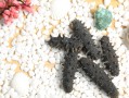 海参内膜要去掉吗,袋装海参丝哪里有买的啊