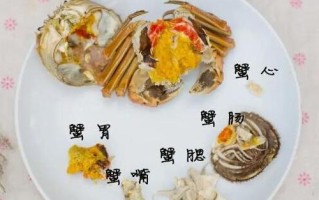 螃蟹都哪里能吃（古巴地蟹能吃吗）