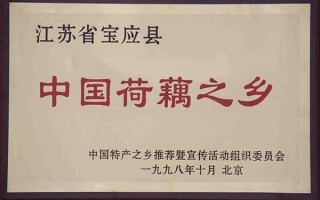 藕粉之乡是哪里,荷蒂是什么