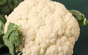 菜花哪里有（菜花哪里有营养）