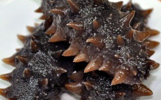 哪里的海参品质最好最便宜,全国海参哪里好
