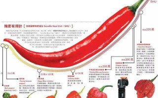 重辣五号辣度是多少万,变态辣对人体有无危害