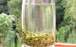 高山绿茶哪个地方产最好,哪里绿茶比较好