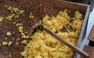 黄元米果哪里有卖（黄元米果怎么保存）