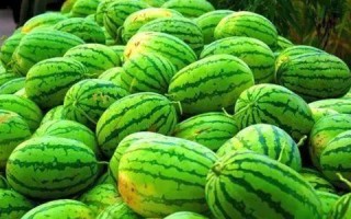中国四大西瓜产地,西瓜哪里好吃