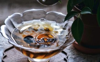 茶可以让人怎么样（茶可以让人怎么样）