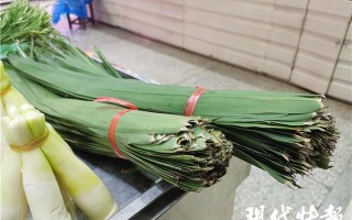 粽叶在哪里买（粽叶在哪里买便宜）