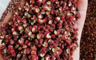 什么是白花椒,白花椒哪里有卖的