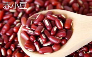 哪里红豆最多（世界上有什么豆多）