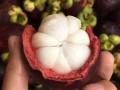山竹 哪里产（山竹哪里产的最好吃）