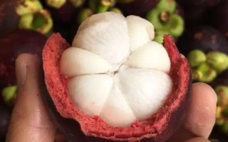 山竹 哪里产（山竹哪里产的最好吃）